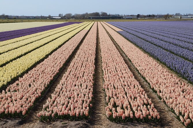 Small Group Keukenhof and Delft Guided Tour from Amsterdam - Price and what you actually get for it