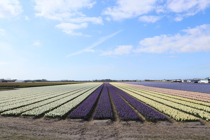 Small Group Keukenhof and Delft Guided Tour from Amsterdam - Keukenhof Gardens before noon: how to use your 3 hours