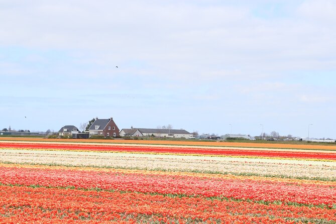 Small Group Keukenhof and Delft Guided Tour from Amsterdam - The quick stop in Lisse: photo time in flower bulb country
