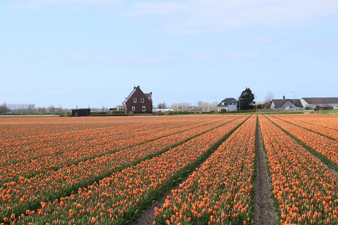 Small Group Keukenhof and Delft Guided Tour from Amsterdam - Value vs. hassle: long day logistics and what can go wrong