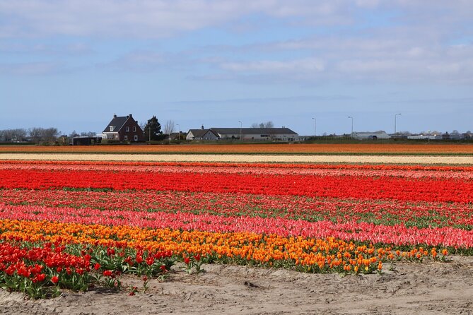 Small Group Keukenhof and Delft Guided Tour from Amsterdam - Starting at Amsterdam Centraal: timing, meeting points, and comfort