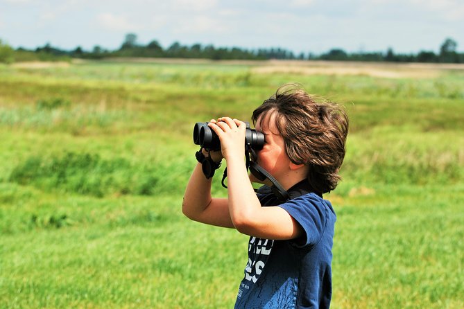 Small Group Tour to NP Hoge Veluwe (van Gogh) from Amsterdam - Price and value: does $210.04 make sense for this day?
