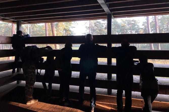 Small Group Tour to NP Hoge Veluwe (van Gogh) from Amsterdam - Who should book the NP Hoge Veluwe van Gogh day trip