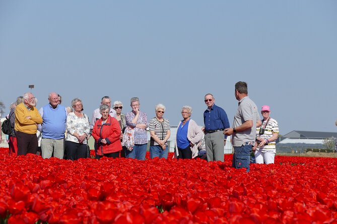 Taking Pictures in the Tulip Field at De Tulperij - The Value Of Asking Questions While You Shoot