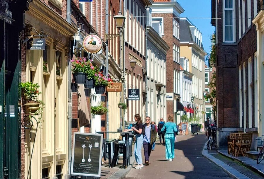 The Hague: City Walking Tour - Price and value: why $9 can be a smart use of time