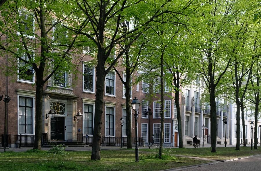 The Hague: City Walking Tour - Palaces and the royal court functions you will actually learn to spot