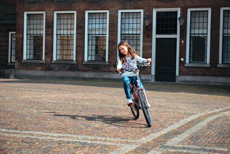 The Hague: Highlights Bike Tour - Peace Palace: Starting With The Hague’s Peace and Justice Focus