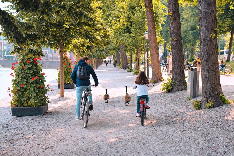 The Hague: Highlights Bike Tour - Your 2.5-Hour Route: How the Highlights Fit Together