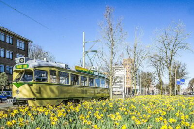 Hop-on Hop-off Heritage Tram Tour