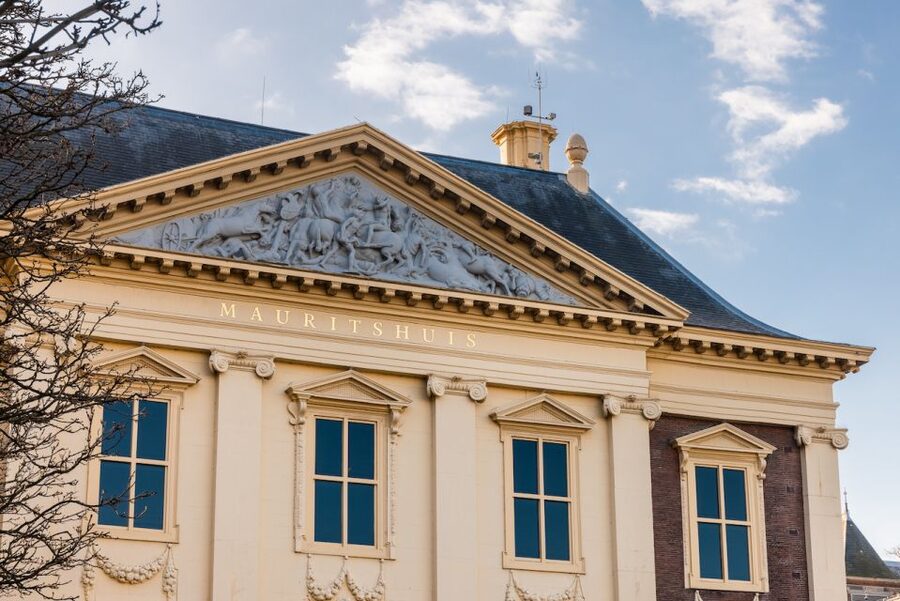 The Hague: Mauritshuis Entrance Ticket - Wheelchair access details you should plan for