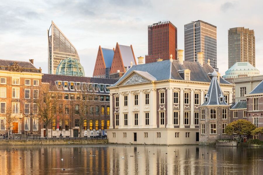 The Hague: Mauritshuis Entrance Ticket - Rembrandt and Fabritius: why these rooms hit even if you’re not an art expert
