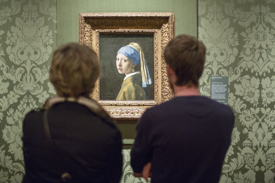 The Hague: Mauritshuis Entrance Ticket - Temporary exhibition access: Birds (and how it changes the visit)