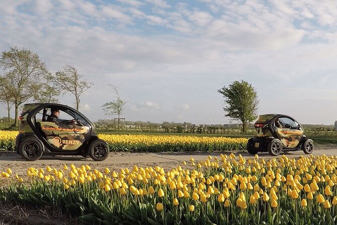 Tulip Fields near Keukenhof - Self-Drive Audio Tour for 2 People - Your 2-hour plan, stop by stop, and what to expect