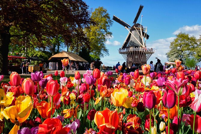 Tulip Paradise: Keukenhof Half-Day Private Tour - The Tulip-Field Drive: Windmills, Photo Stops, and a Real Sense of Place