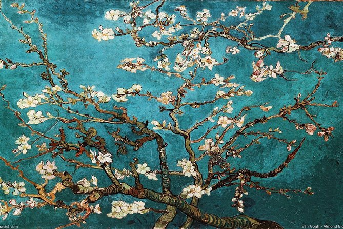 Van Gogh Museum Amsterdam Exclusive Tour w/ Reserved Entry - The 2.5-hour plan: from Dutch shadows to French brightness