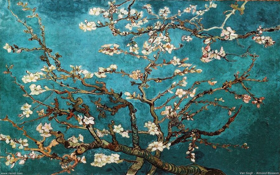Van Gogh & Rijksmuseum Masterpieces Guided Tour 8 guests 5h - Practical Tips That Make the Tour Feel Easier
