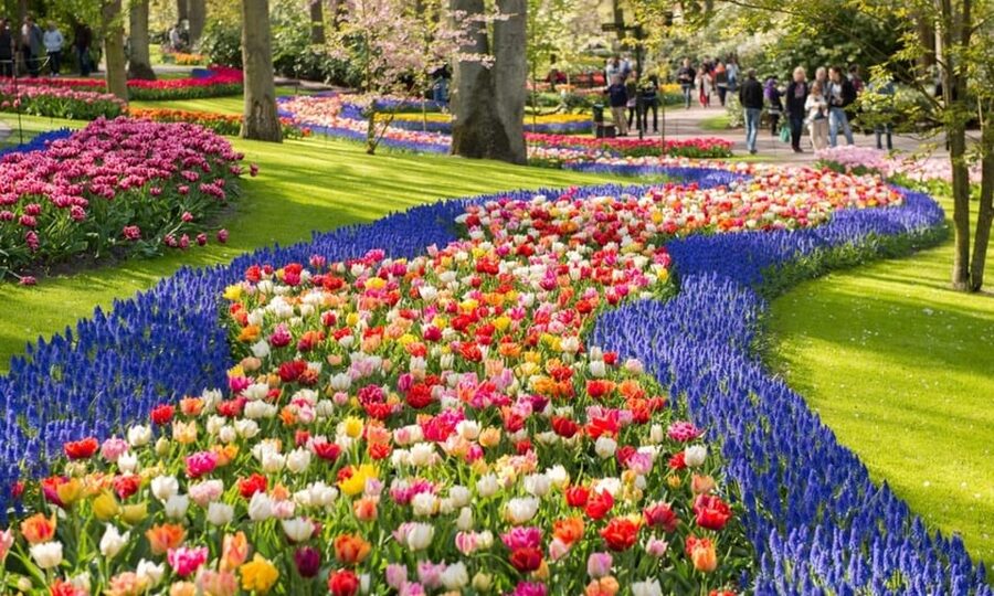 Warmond: Windmill Cruise and Keukenhof Entry Ticket - Warmond to Keukenhof, The Practical Spring Route