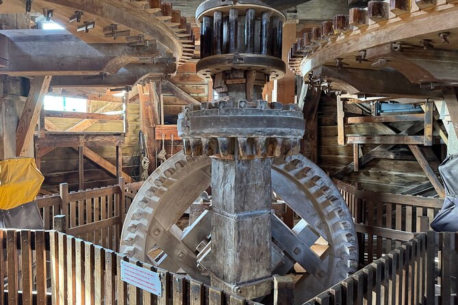 Zaanse Schans, Edam, Marken & Volendam – Private Luxury Tour - Henri Willig cheese farm: automatic milking robot plus an included tasting