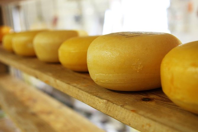Zaanse Schans Windmills, cheese and clogs and Volendam tour from Amsterdam - Jacobs Hoeve cheese farm by Henri Willig: robot milking and unlimited tasting