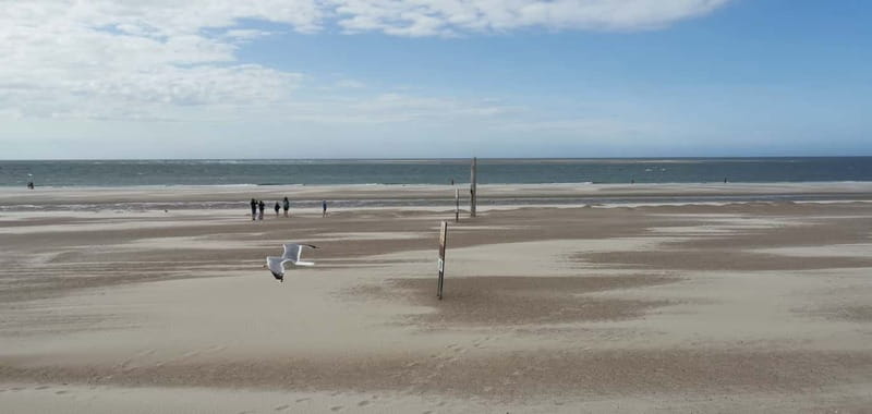 Zeeland Strand safari met visnet NL/DE - Should you book the Zeeland Strand safari met visnet NL/DE?