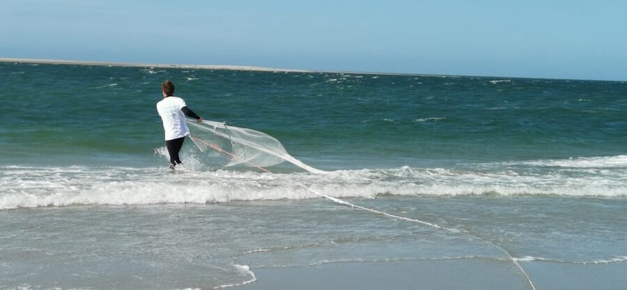 Zeeland Zeehonden strand safari NL/DE - What you might see: animals, shells, and shore surprises
