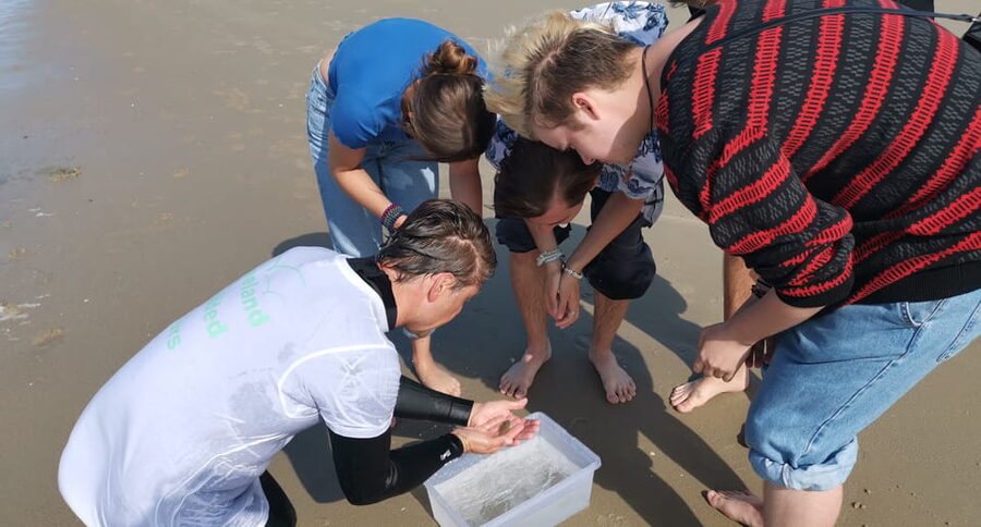 Zeeland Zeehonden strand safari NL/DE - Guide style and what you’ll get from the stories